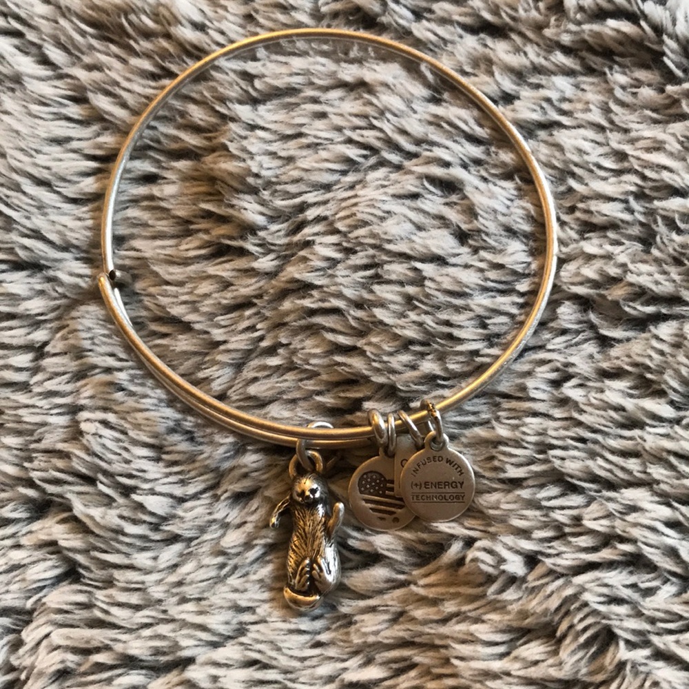 Otter Alex and Ani Bangle